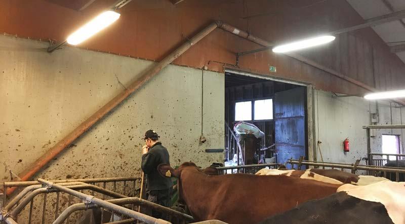 37 (58) jotta se toimii hiekkalannalla (pumpattava vähintään 10 kuutiota minuutissa). Päätykuilun ei kannata olla liian leveä, ettei hiekka ja lanta erotu toisistaan sekoituksen aikana liikaa.