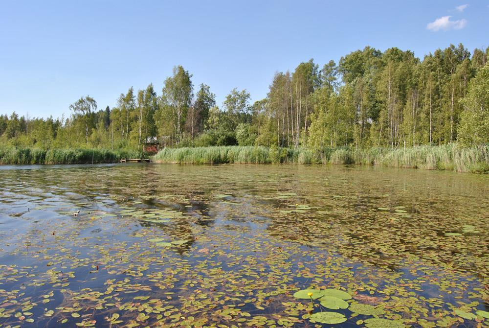 Rehevä järvi Rehevän järven