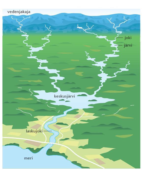 Vesistö Kuva 44B Vesistö tarkoittaa järvien ja jokien
