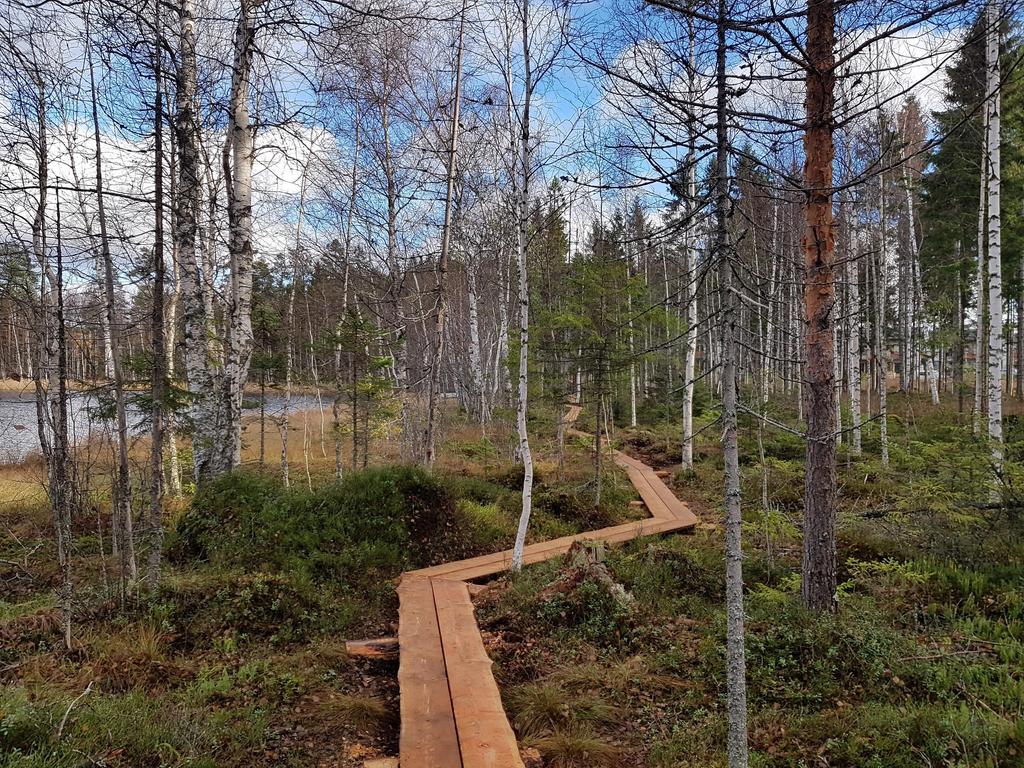 Ulkoilureittisuunnitelma
