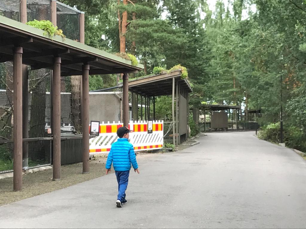 Korkeasaaren katselukatokset