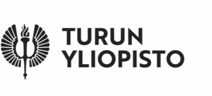 TIIVISTELMÄ X Kandidaatintutkielma Pro gradu -tutkielma Lisensiaatintutkielma Väitöskirja Oppiaine Rahoitus Päivämäärä 30.4.2019 Tekijä Mika Piha Matrikkelinumero 507243 Sivumäärä 88 s.