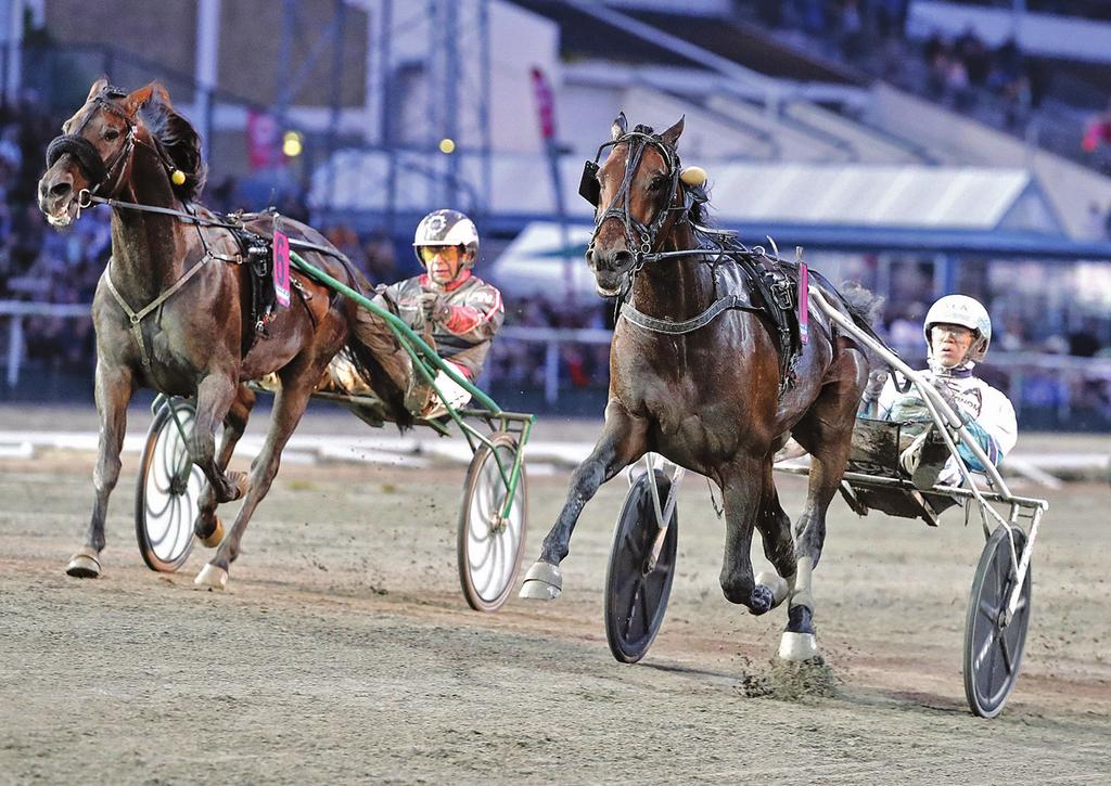 Pohjanmaan Ravi ryultra Ultra Bright voitti Stochampoionat-kilpailun 4-vuotiaiden tammojen uudella maailmanennätysajalla 1.13,0a/2640 metriä Axevallan raviradalla 23.7.