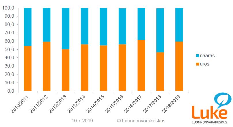 12 Kuva 7. Urosten ja naaraiden osuudet kokonaismetsästyssaaliissa metsästysvuosittain 2009/2010 2018/2019 Poronhoitoalueen eteläpuolisessa Suomessa. Lähde: Suomen riistakeskus ja Luke. Kuva 8.