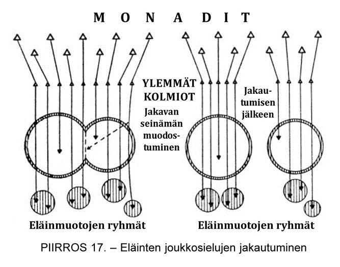 On tarpeetonta sanoa, että eläinkunnassa pysyvät atomit ottavat vastaan paljon vaihtelevampia värähtelyitä kuin alemmissa luomakunnissa. Siitä on seurauksena, että ne eriytyvät nopeammin.