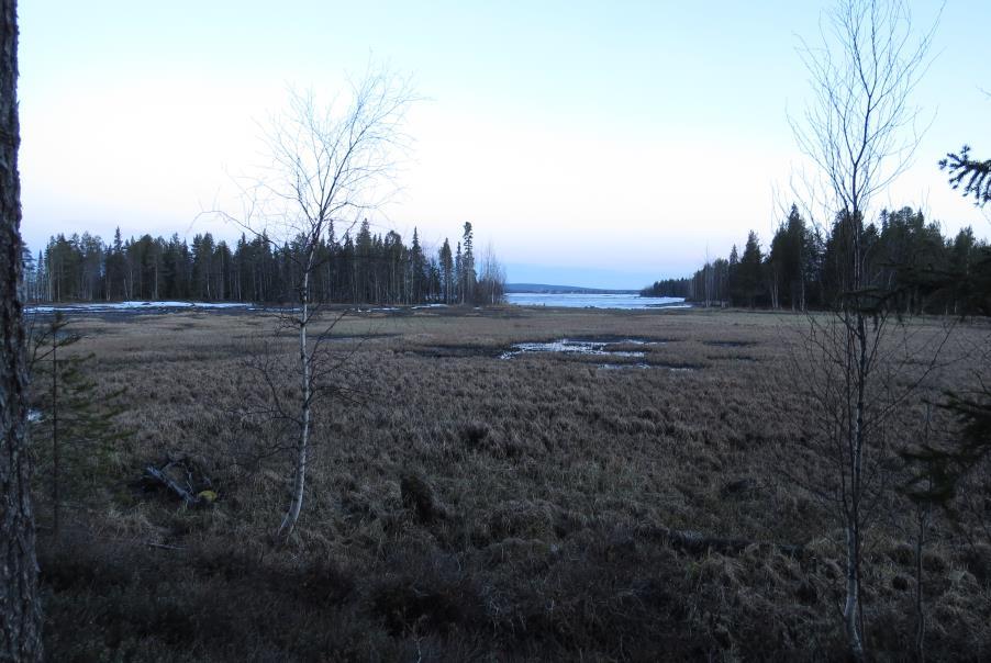 3 Käyntiajankohtina rannat ja samoin suot olivat hyvin kuivia. Kevät on ollut alueella hyvin vähäsateinen.