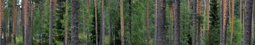 henkilökohtainen puhelin. Samoajilla ja vaeltajilla puhelin on hyvä olla niin ohjelmien kuin pestin kannalta. Tarpojaikäisille ja tätä vanhemmille (myös aikuisille!