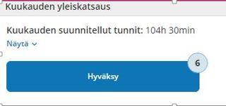 Kuukauden yleiskatsaus avautuu Näytä -