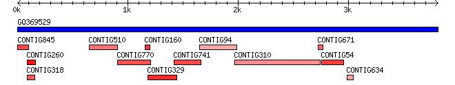 (b) Arabiksen mosaiikkivirus, RNA2, GQ36952 (a) Arabiksen mosaiikkivirus, RNA 1, GQ369528 (c) Tupakan