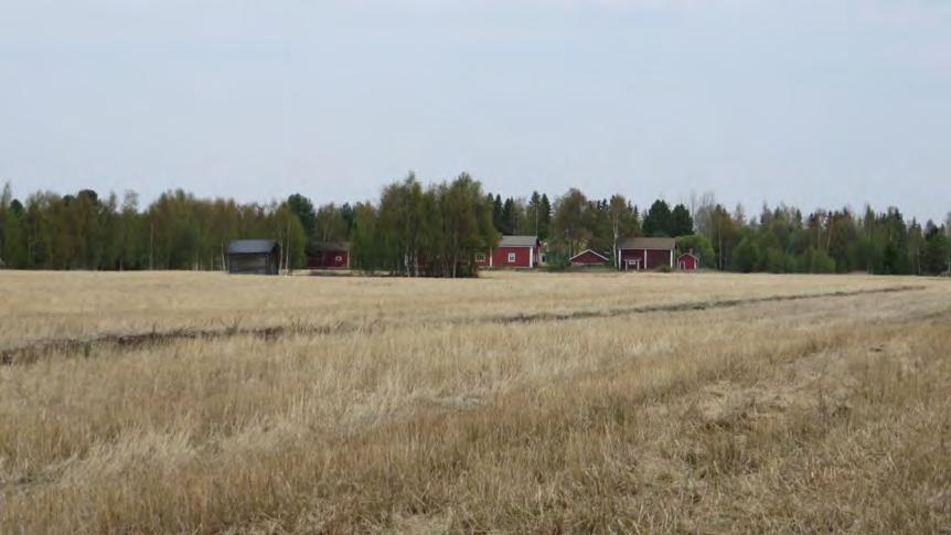 Sivu 13 7 Alueen maisemakuva muodostuu sulkeutuneesta metsämaisemasta, sekä avoimista peltoalueista. Alueelle sijoittuu myös avoimia hakkualueita.