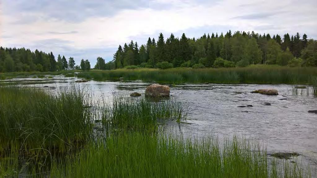 valokuvat