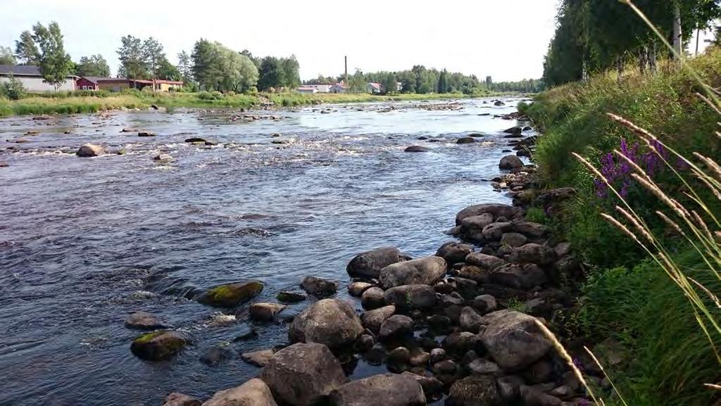 valokuvat