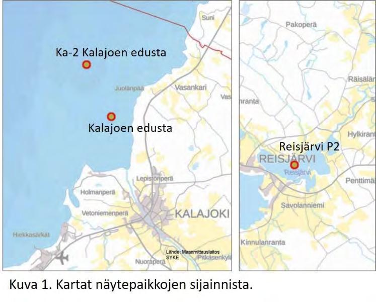 Kvantitatiivisen kasviplanktonlaskennan tulosten teoreettiset virhearvot määräytyvät lasketun laskentayksikköjen lukumäärän funktiona (taulukko 3) (HELCOM 2017).