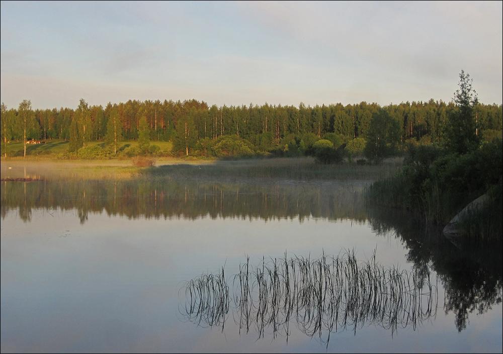 18 Rantasipi Selkäsaarista eteläisemmän rannoilla reviiri ja toinen reviiri Sisalussaaren ja Herrainsaaren välissä.