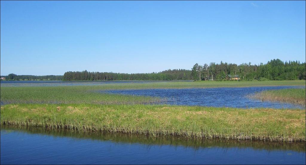 3 Johdanto Selvitysalue käsittää laajan alueen, joka sijaitsee Pohjois-Savon länsirajalla Keiteleellä noin 75 kilometriä Kuopion kaupungista länsiluoteeseen Siilinjärvi Viitasaari tien (n:o 77)