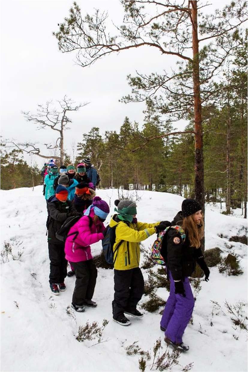 Sammanfattning Forststyrelsens resurser i nationalparken riktas till att skapa och upprätthålla verksamhetsramarna (mycket arbete med att göra lederna hållbara är ännu ogjort, oreda bland skyltarna)