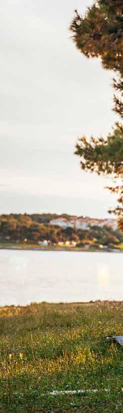 altea Suunniteltu valoisampaan matkailuun. Palkitun Altean sisäpuoli on nykyaikainen ja valoisa.
