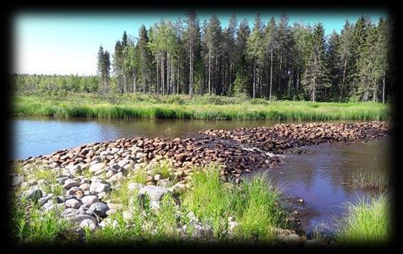 Järvien ja jokien kunnostus Apua vesistökunnostusmenetelmien valintaan ja kunnostuskohteiden tavoiteasetteluun sekä vesiensuojelumenetelmien kehittämiseen Ota yhteyttä: seppo.hellsten@ymparisto.