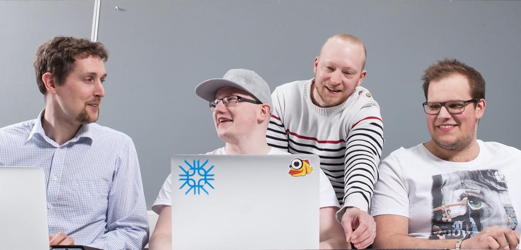 ETELÄ-SAVON DIGIPUNTARI 2017