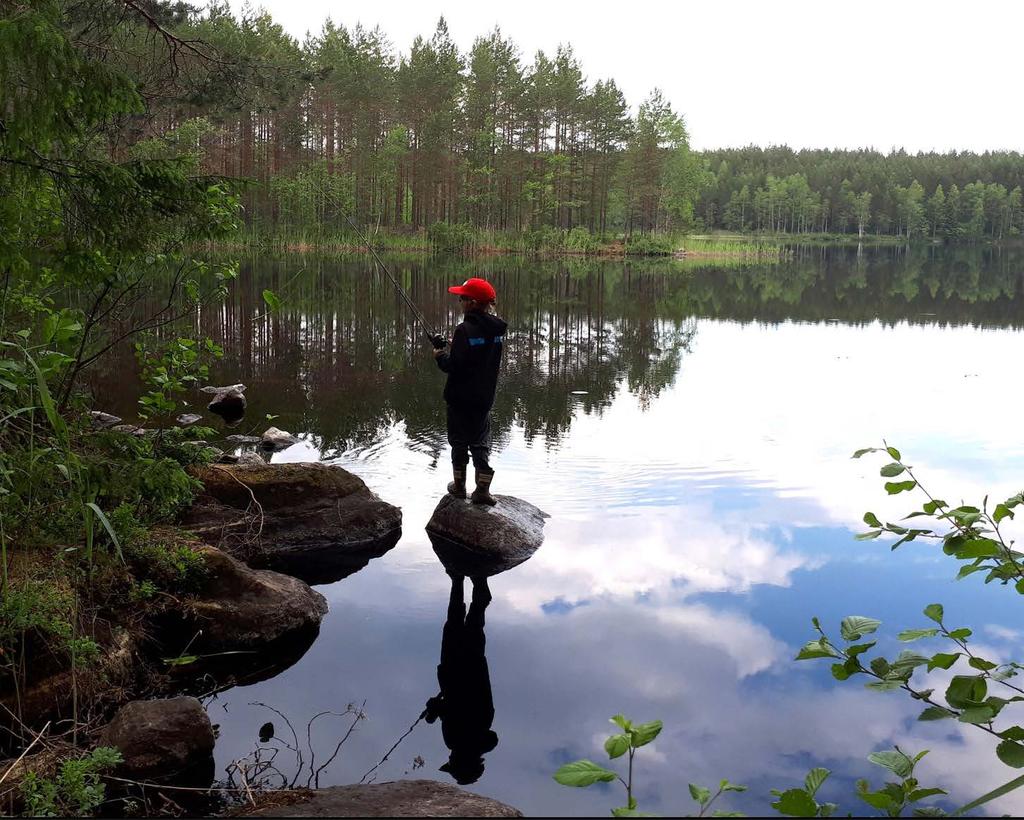 METSÄHALLITUKSEN LUONNONSUOJELUJULKAISUJA.