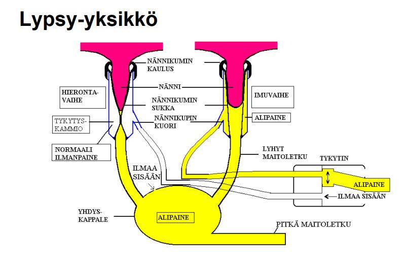 LYPSYJÄRJESTELMÄ 3.1 Lypsykone Lypsykone toimii alipaineella. Lypsykoneen tulee toimia moitteettomasti ja sitä tulee käyttää niin, ettei lehmän utare altistu utaretulehdukselle.