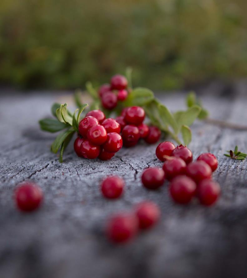 1. Miten hoidetaan jatkossa järjestöjen ja ammatillisen palveluntuotannon yhteistyö? 2. Toimiva julkinen liikenne - palveluiden äärelle - mahdollistaa osallisuutta 3.