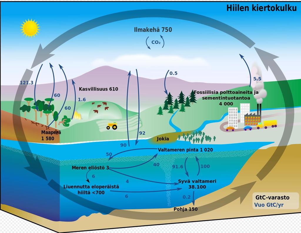 Maankäyttö vaikuttaa, mutta suuri valtaosa (FAO: lähes 90 %) CO2-päästöistä tulee fossiilisten luonnonvarojen käytöstä IPCC: maankäyttösektorin osuus hiilipäästöistä ¼ Puun hiili on jo ennestään