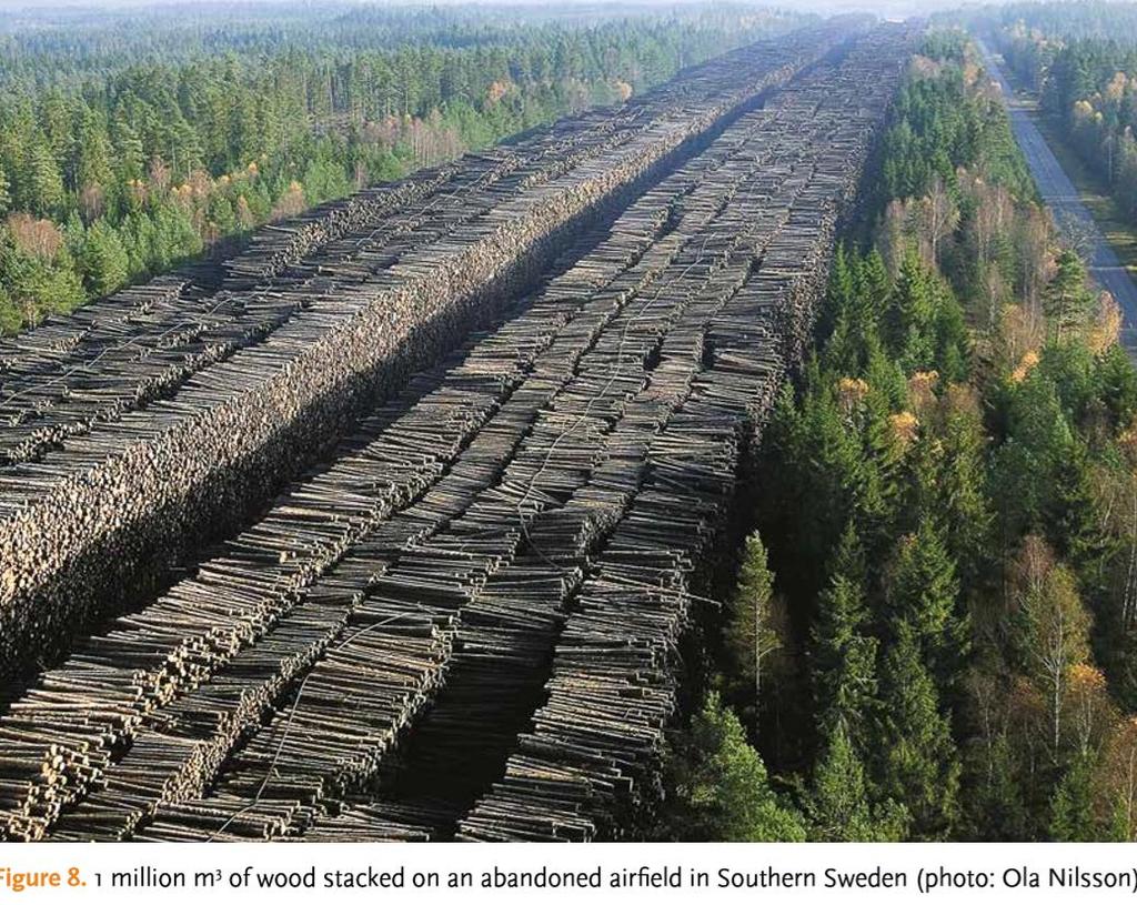 Gudrun-myrsky Ruotsissa 2005: -tappoi suoraan 9 hlöä -aiheutti yli 140 työtapaturmaa -kaatoi 75 Mm3 puuta -aiheutti välittömästi noin 2 mrd eur tuottotapion