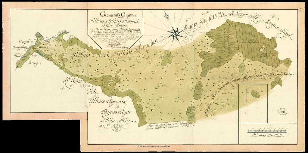 Niityt Ämmäisten niityillä tehtiin ojituksia 1700-1800 lukujen vaihteessa. Ranta- ja suoniittyjen vitsauksena oli liiallinen kosteus.