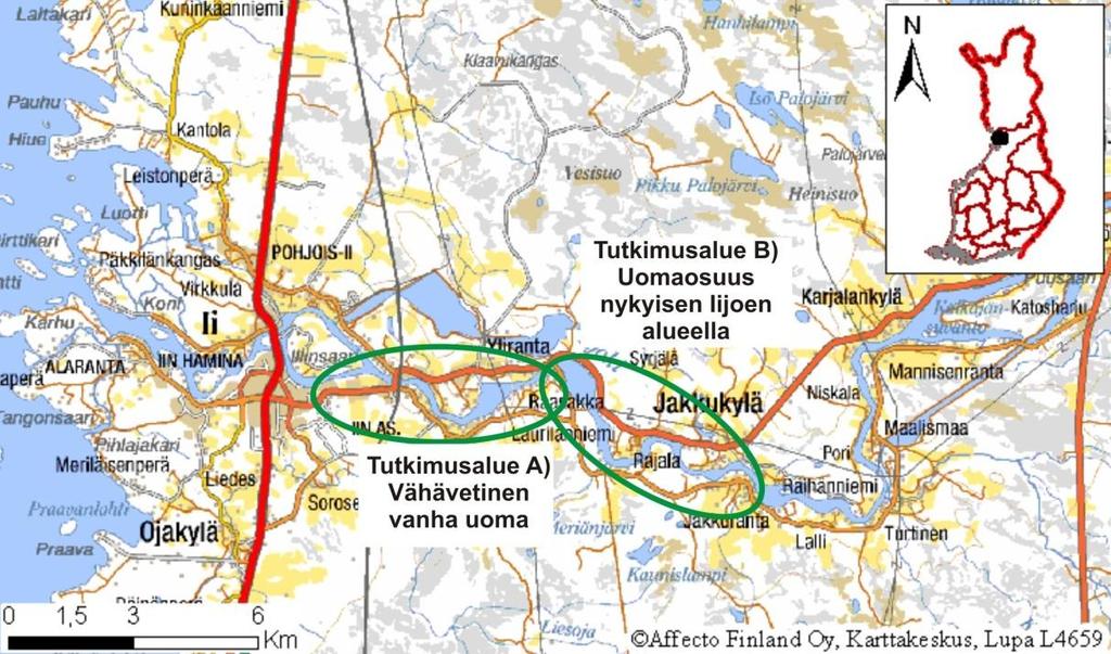 Kuva 8. Tutkimusalue Iijoen alaosalla koostuu kahdesta osasta, vähävetisestä vanhasta uomasta (vasemmanpuoleinen vihreä ympyrä) ja nykyisestä Iijoen uomaosuudesta (oikeanpuoleinen vihreä ympyrä). 3.2.