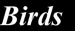 The island bird monitoring is coordinated by the Finnish Museum of Natural History (University of Helsinki) and it is implemented according to the museum s guidelines (http://www.fmnh.helsinki.