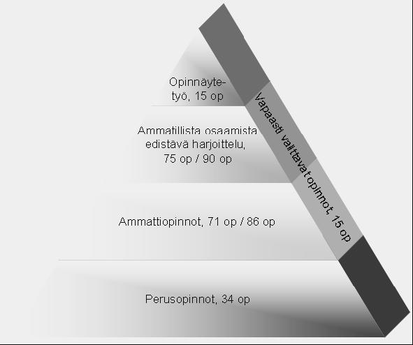 15 (Satakunnan ammattikorkeakoulu 2008, 5.) Perusopinnoissa opiskelija orientoituu ammattikorkeakouluopintoihin ja tulevaan ammattiin. Opiskelija muodostaa käsityksen hoitamisen perusteista.