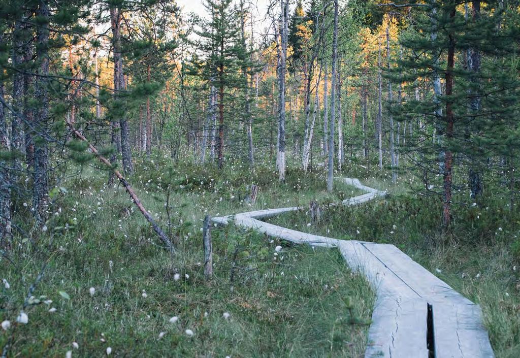 Sisältö Riihimäen kiertotalousklusteri RiiCycle näyttää mallia Suomelle ja maailmalle 3 RiiCycle osatekijät 4 Riihimäen kaupungin oma kiertotalouden edistäminen 5 RiiCycle vahvuudet &