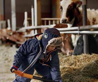 Karja Karjan käypä arvo määritetään maa- ja metsätalousministeriön asetuksen perusteella, joka on annettu eläinvahinkojen korvaamisesta (säädöskokoelma 834/2018).