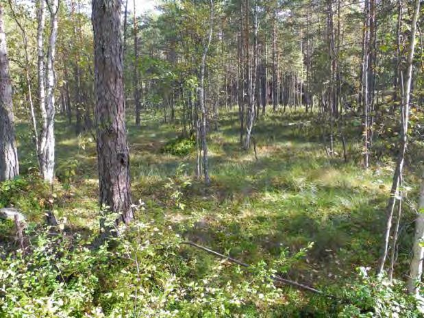 Polut näyvät selvästi alueella, mutta ulutusen jäliä olun ulouolella on huomtavasti vain muutamassa aiassa liitoieoradan vrella.