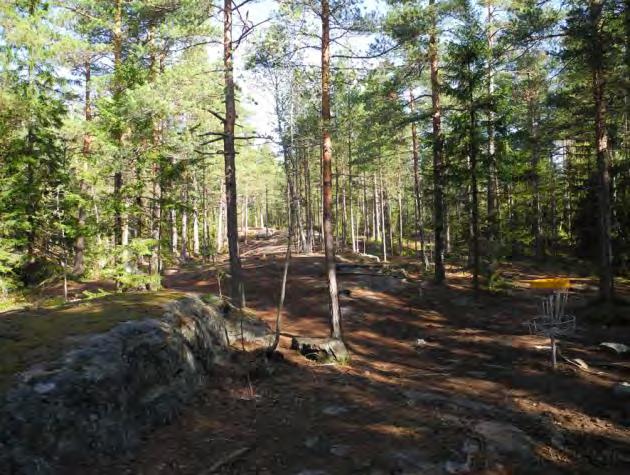 ohjoiseen. Kuva. iitogolfrojen ohdalla alusasvillisuus on hyvin voimaaasti ulunutta. Kuva. Kuivaa havu-lehtiuuangasta, jossa mänty ja uusi seä raudusoivu ja ihlaja ov tavallisimia lajeja.