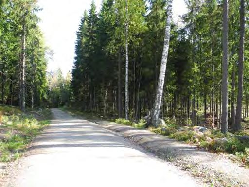 ähellä järven rantaa metsä on lehtomaista, lehtiuita on selvästi enemmän uin havuuita ja alusasvillisuus on rehevämää. Rannan tuntumassa asvaa tervaleiä.