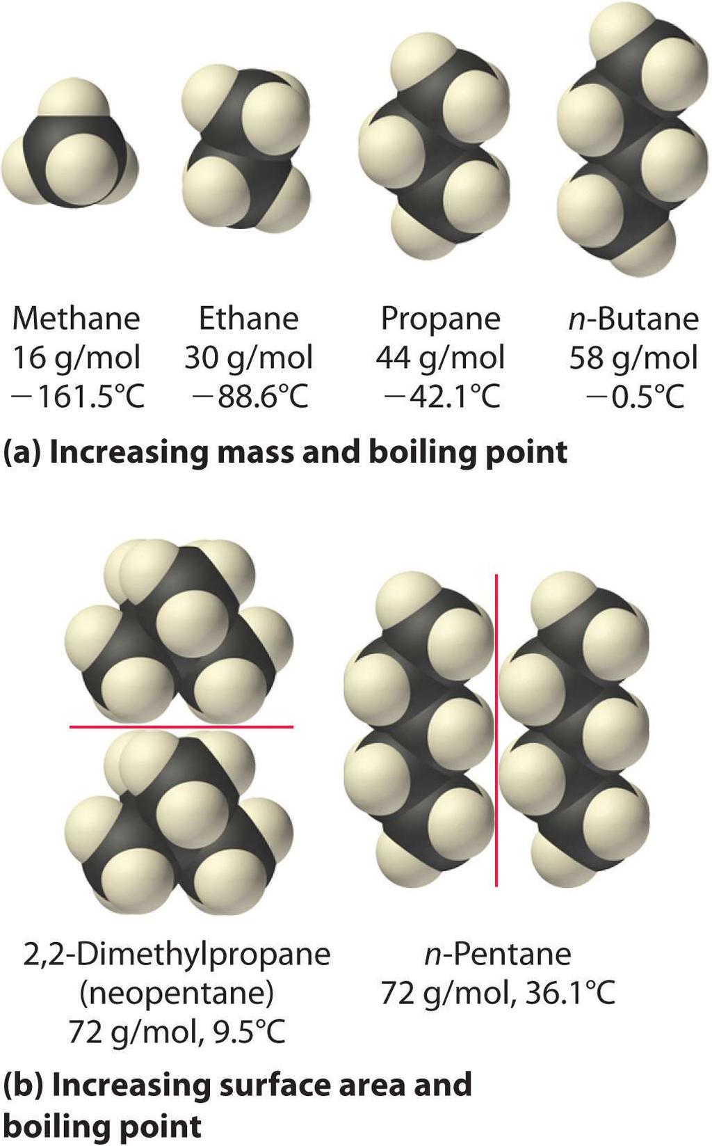 Kuva 6. 2,2-dimetyylipropaanimolekyylien välinen pinta-ala on pienempi kuin n- pentaanimolekyylien välinen pinta-ala, jolloin 2,2-dimetyylipentaanilla on matalampi kiehumispiste kuin n-pentaanilla.