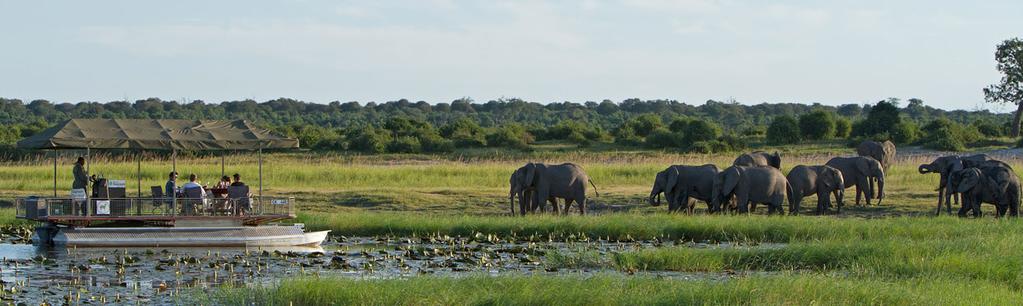 Majoittumisen jälkeen iltapäivällä on ensimmäinen safariretki Chobe-joen varsia seuraillen.