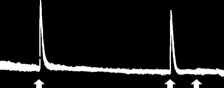 A B C ATP ATP 2+ Ca transient, ratio, % 100 50 0 Control Control neuron ATP ATP KCl ATP KCl *** SGC A839977: _ + _ + Neurons SGC 30% DF/F 0 250 s ATP ATP 2+ Ca transient, ratio, % 100 50 0 A839977: