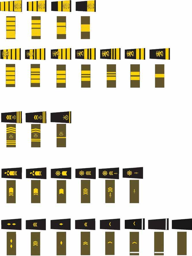 Merivoimien arvomerkit Sotilaaliseen käytökseen kuuluu puhutella ja tervehtiä vanhempia sotilaita heidän sotilasarvonsa mukaisesti.