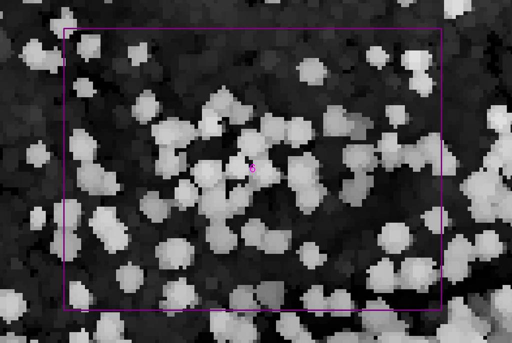 Eri keilaimet tuottavat hyvin erilaiset ensimmäisen kaiun > 2 m tiheydet (harva: 98 %, tiheä lineaari: 89 % ja tiheä single photon: 85 %).