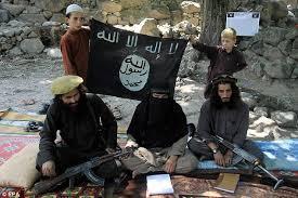 Näitä ovat esimerkiksi Tora Bora Jihadi Front, Hezb-e-Islami, Fedayi Karwan,