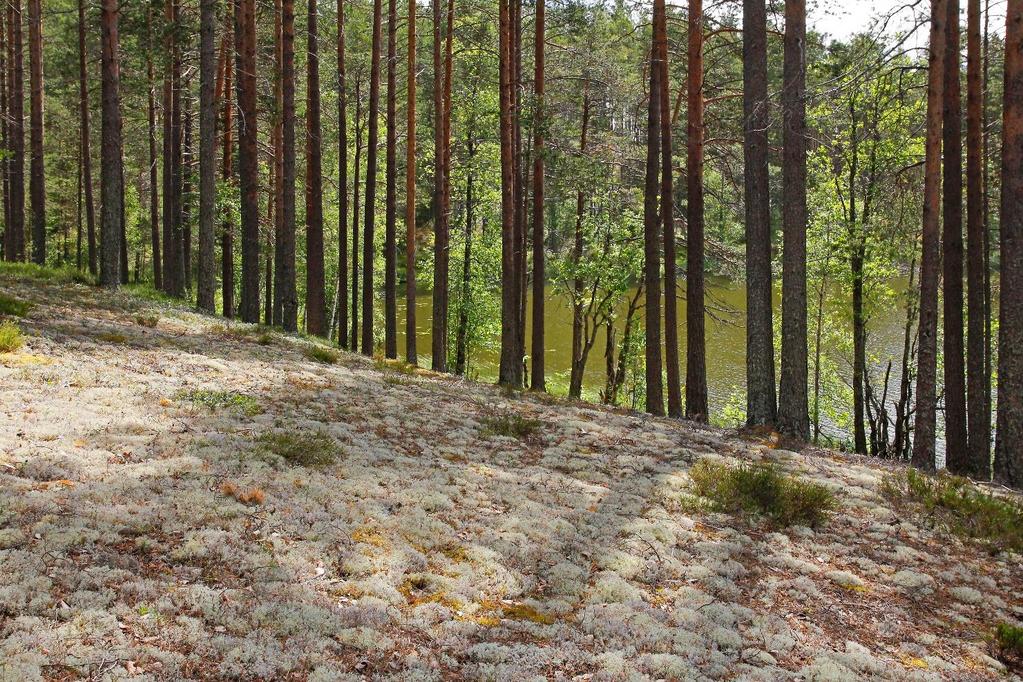 GeoPark-oppilaitos.