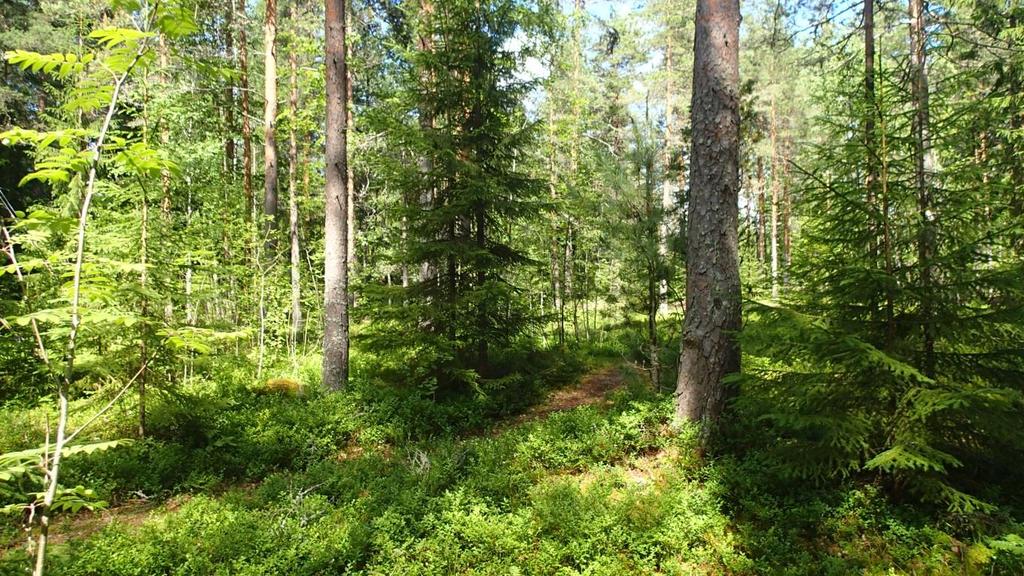 Sopenmäen osa-alueen
