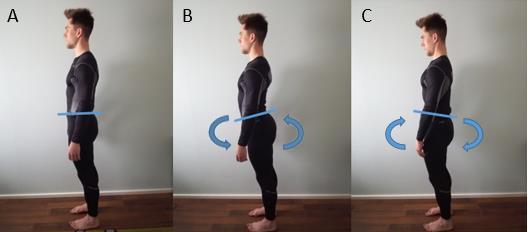 11 Lantion asento. A) Neutraali, B) Anteriorinen tiltti ja C) Posteriorinen tiltti. 3.