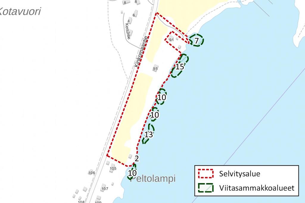 Kinkomaa AK 2019 5 (8) Kuva 3. Viitasammakon esiintymispaikat ja arviot yksilömääristä. Kohteella ei havaittu muille luontodirektiivin liitteen IV a lajeille soveltuvaa elinympäristöä.