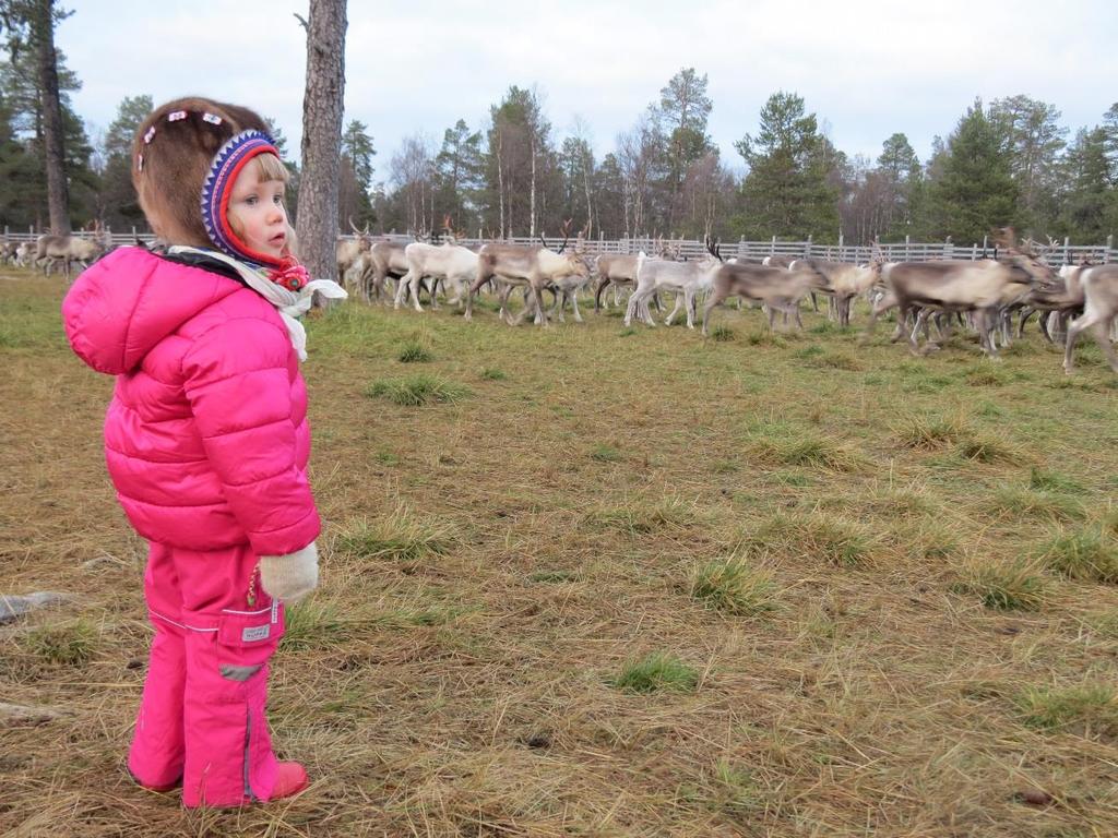 Saamelaiskäräjien toiminnan arvot 1 vahva saamelainen identiteetti saamen kielten elinvoimaisuus saamelainen kulttuuri ja kulttuuriperintö perinteisten elinkeinojen elinvoimaisuus saamelainen