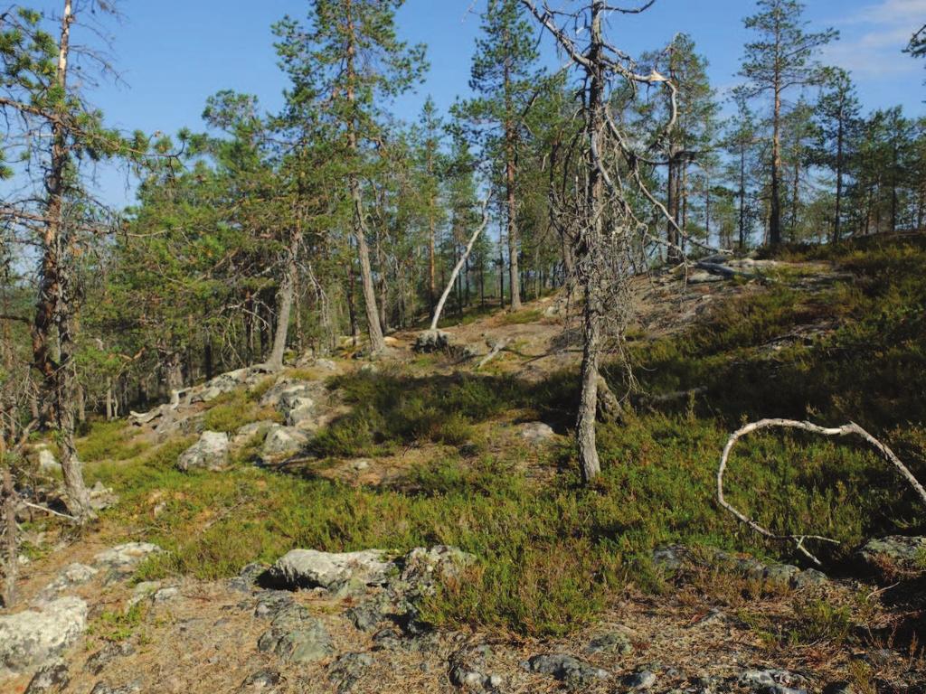 AUTTIJÄRVEN RANTA-ASEMAKAAVA