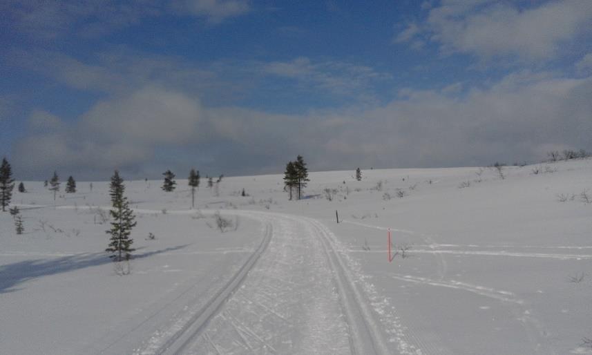 sienestämään. Kalastus kesäaikaan on mahdollista asianmukaisilla luvilla. Metsästys on sallittu vain paikallisille asukkaille metsästyslain mukaisesti. (Metsähallitus 2018c